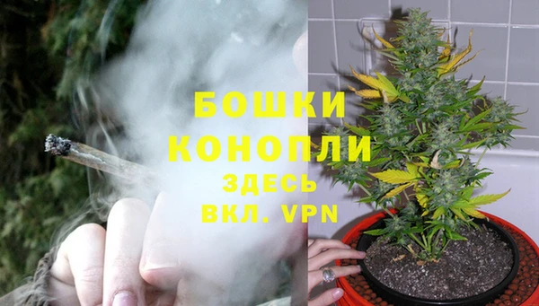 винт Белокуриха