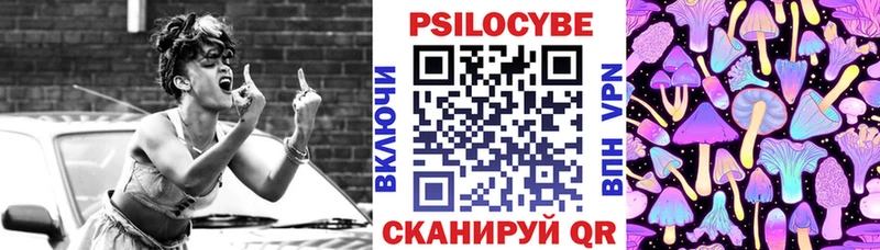 Купить где  Алушта  Галлюциногенные грибы Psilocybe 